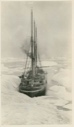Image of S.S. Roosevelt Taking Water Aboard
